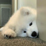 Clairest