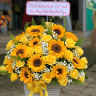 dienhoaquangnam