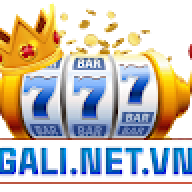 galinetvn