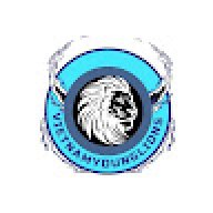 vietnamyounglions