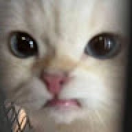 pipipipi