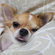 lettuceuwu