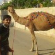 Sameed Ahmed