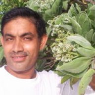 syed Gulzar Ahmed