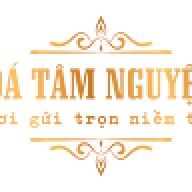datamnguyen01