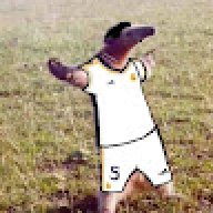 vincentfernando
