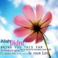 AbdulAleem