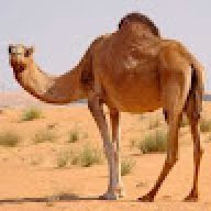 abshami