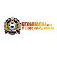 keonhacaivote1