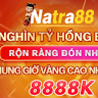 natra88biz