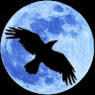 Nightcrow