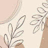 Starryyy_spring