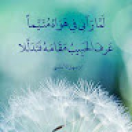 raash24