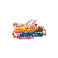 saowincomfeedback