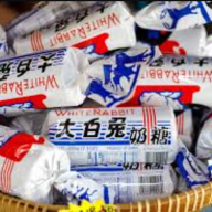 Chinesewhiterabbit