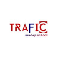 dvtrafficseotop