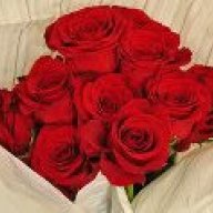Tooba GHAZi