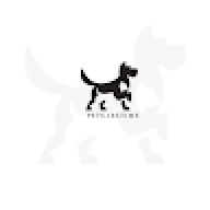 petcaretime