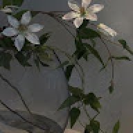 hananahmedsm12@gmail