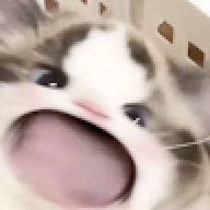 bleh09