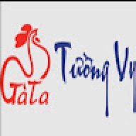 gatatuongvyvn