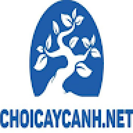 choicaycanhnet1