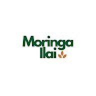 moringailai9