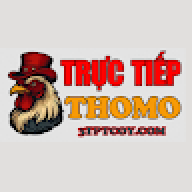 dagatructiep3tpt