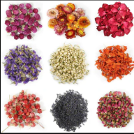 BlossomCraftDriedF