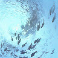 oocean