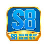 s8innet