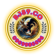 BJ89.CO