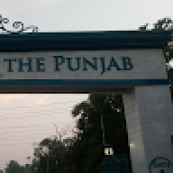 mrizwan
