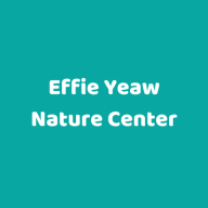 effieyeawnature