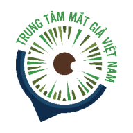 viemmangmatttmg