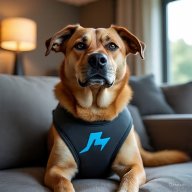 ThunderShirt1