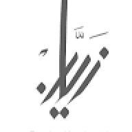 zayanullah Saleh