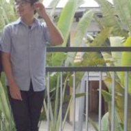 Huynh Son Do