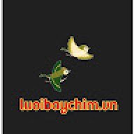 luoibaychimvn