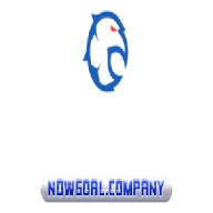 nowgoalcompany