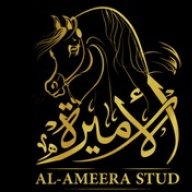 Alameerastud