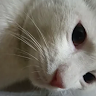 mihaaa_1