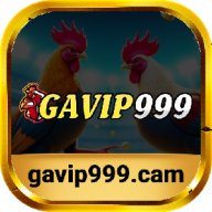 gavip999camff