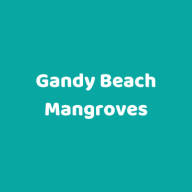 gandybeachmangroves