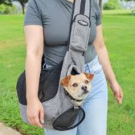 bagpuppy