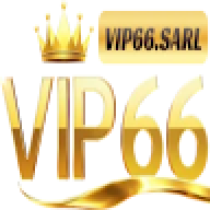 Vip66sarl