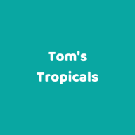 tomstropicals