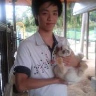 Tze Wei