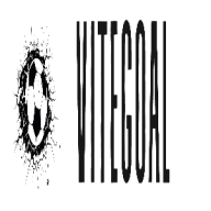 vitegoalqn