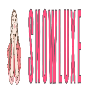 snowluxetf